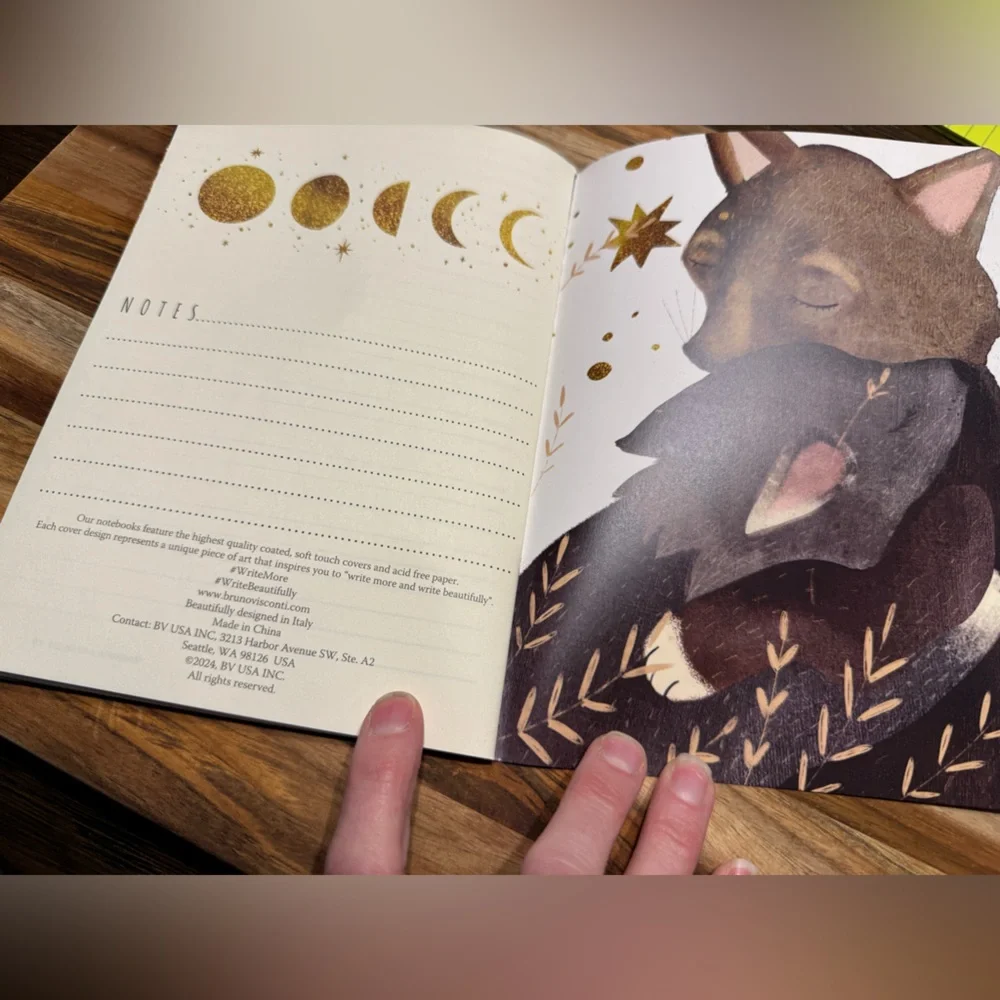3 for $15 Bruno Visconti Soft Touch The Wolf Cub and the Moon Journal A5 NEW